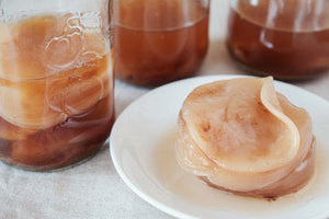 kombucha scoby