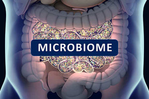 What the gut microbiome does